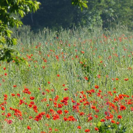 Au Ptit Coquelicot Villa Houyet Exterior foto